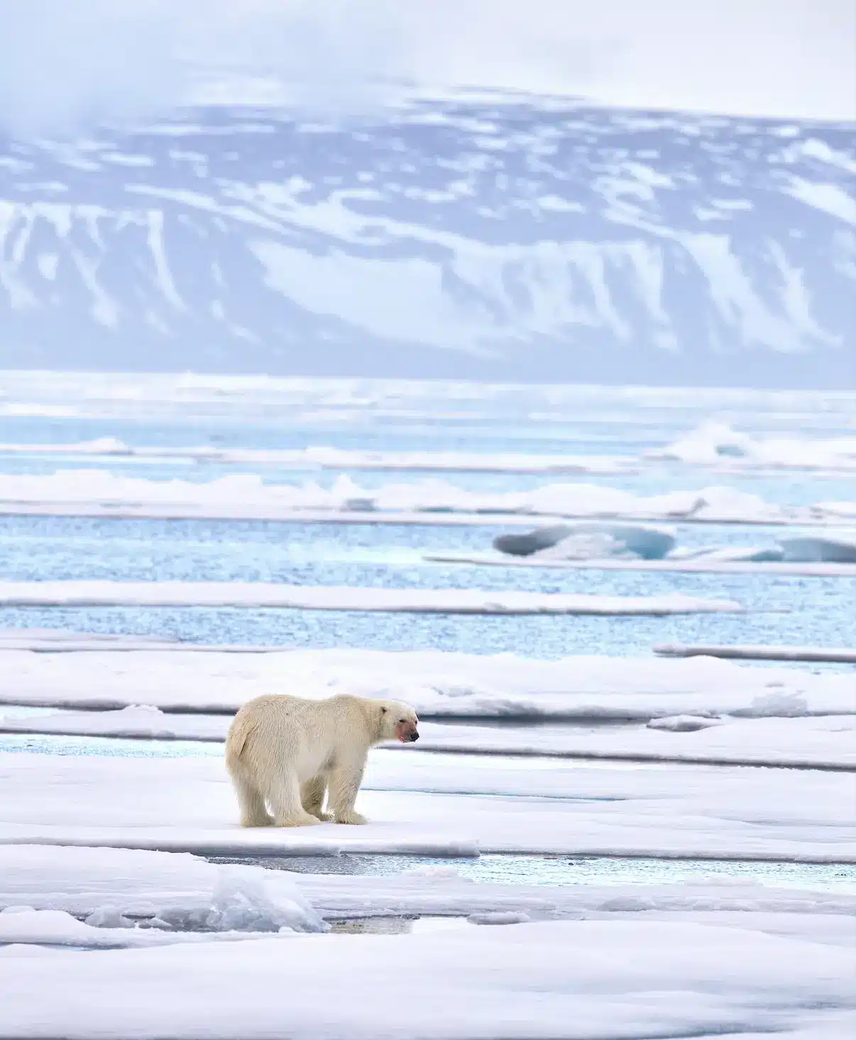 Svalbard, Norwya is one of the world's most northerly places still occupied by humans.